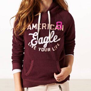 AMERICAN EAGLE OUTFITTERS Graphic Resort Hoodie NWT